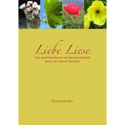 Liebe Liese, Taschenbuch von Verena Berger, BoD – Books on Demand, 978-3-8482-5784-3