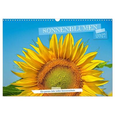 Sonnenblumen - ein ganzes Jahr voller Sonnenschein (Wandkalender 2027 DIN A3 quer), CALVENDO Monatskalender