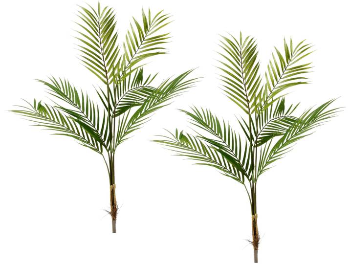 Kunstblume I.GE.A. Palmzweig , grün, B:50cm H:80cm, Obermaterial: 100% Kunststoff, Kunstpflanzen, Kunstblume, 2er Set