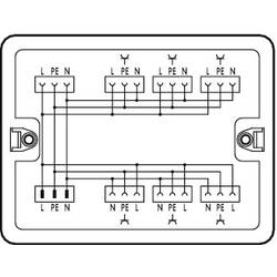 WAGO 899-681/104-000 Verteiler-Box 899 25 A Weiß 1 St.