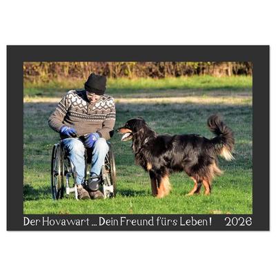 Der Hovawart... Dein Freund fürs Leben ! (Wandkalender 2026 DIN A4 quer), CALVENDO Monatskalender
