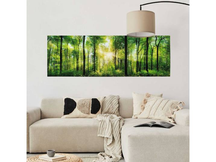 Poster Forêt en été Matériau : Papier Motif : Arbres, plantes & nature Vert/Vert 53 x 158 x 0cm