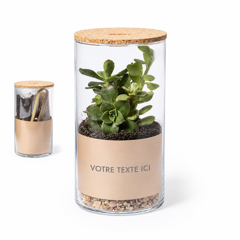 Terrarium personnalisé design Anymak liège borosilicate