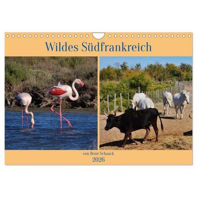 Wildes Südfrankreich (Wandkalender 2026 DIN A4 quer), CALVENDO Monatskalender