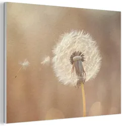 AKUSTIKBILD Löwenzahn - Beige - Natur - Blume Wandbild Wohnzimmer 100x70 cm