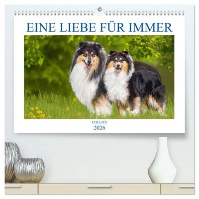 Eine Liebe für immer - Collies (hochwertiger Premium Wandkalender 2026 DIN A2 quer), Kunstdruck in Hochglanz