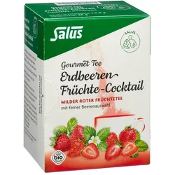 ERDBEEREN Früchtecocktail Salus Filterbeutel