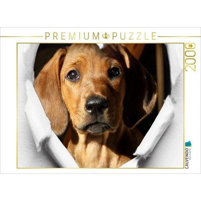 CALVENDO Puzzle Rhodesian Ridgeback - eine Liebe fürs Leben - | 2000 Teile Lege-Größe 90 × 67 cm Foto-Puzzle für glückliche Stunden, von , Calvendo