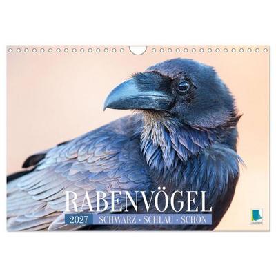 Rabenvögel: Schwarz, schlau, schön (Wandkalender 2027 DIN A4 quer), CALVENDO Monatskalender