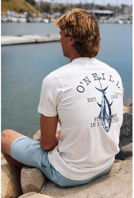 O'Neill s Peaky Classic T-Shirt in Tofu, Size Small
