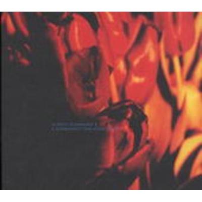 A Strangely Isolated Place - Ulrich Schnauss, CD