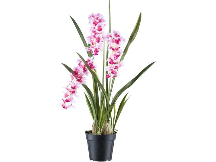 Creativ green Orchidee Cymbidie orientalis mit zahlreichen real-touch-Blüten