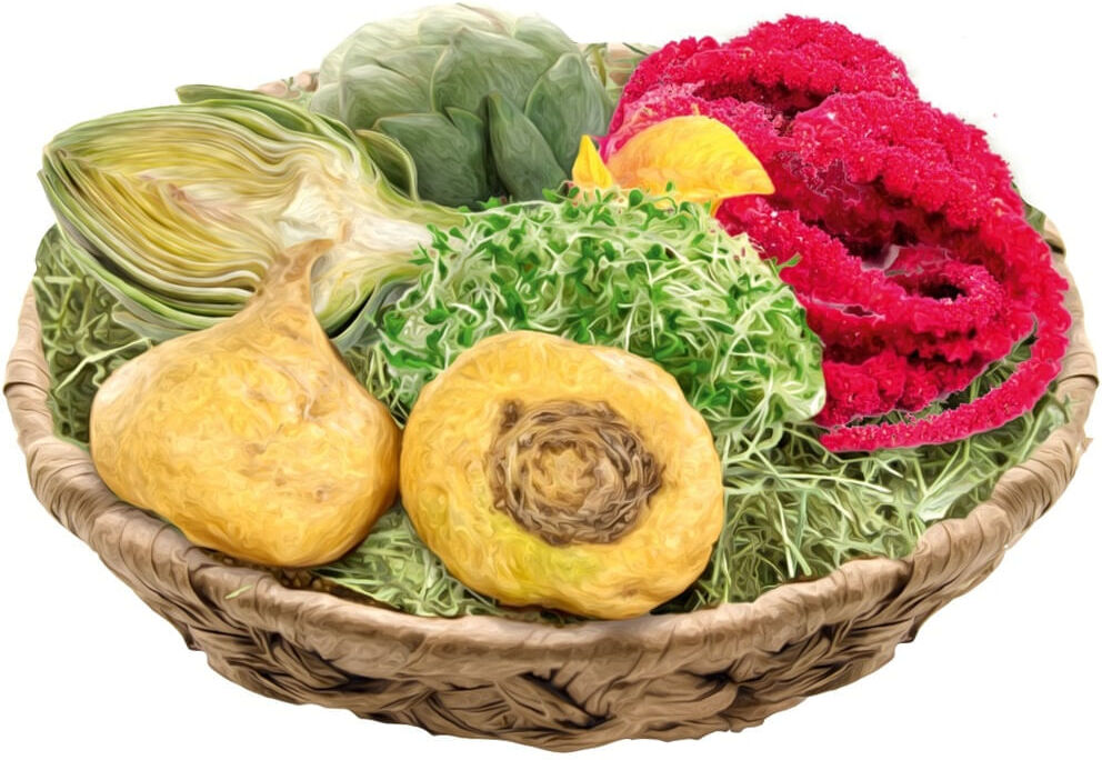 Real Nature Porcellini d'india Optimal Menue 48 1.5KG