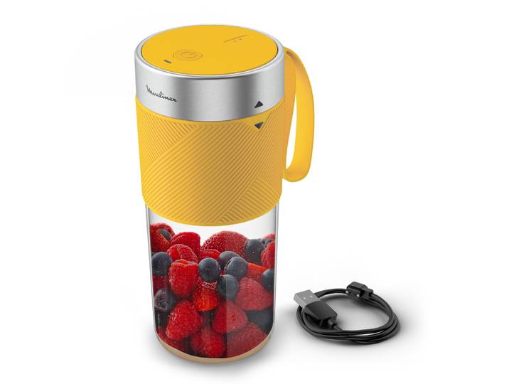 Blender mini - LM1C0210 MOULINEX