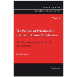 The Politics of Privatisation and Trade Union Mobilisation, Fachbücher von Pablo Ghigliani