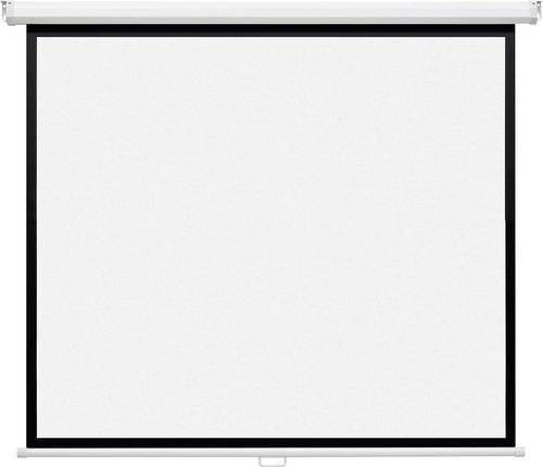 Magnetoplan 202501930 Rolloleinwand 300 x 225cm Bildformat: 4:3