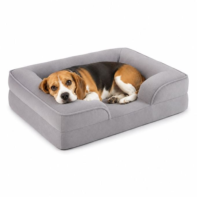 Relaxdays Orthopedisch hondenbed met memoryschuim, grijs, B/D/H: 71 x 58 x 17 cm