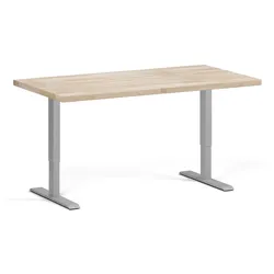 Höhenverstellbare Werkbank für die Werkstatt, 2 Motoren, 1500 x 800 x 760-1230 mm, graues Untergestell