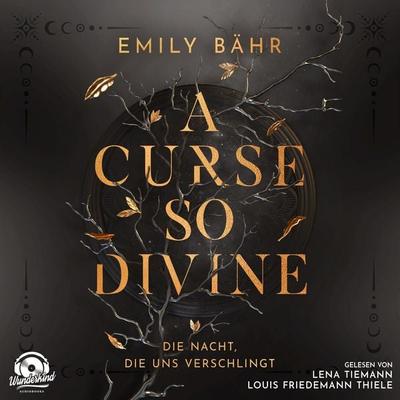 Die Nacht, die uns verschlingt - Emily Bähr, Audio, 9783985712069
