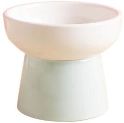 Inspired Living ComfortLift Ceramic Raised Pet Bowl Elevated Cat & Dog Feeding Dish (300ml) white green