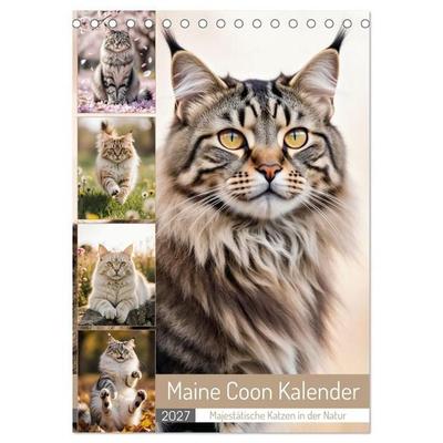 Maine Coon Kalender - Majestätische Katzen in der Natur (Tischkalender 2027 DIN A5 hoch), CALVENDO Monatskalender