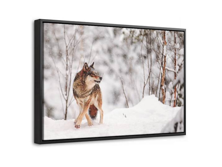 MuchoWow Leinwand Bilder mit Rahmen - Wolf - Winter - Schnee - Natur - Tiere - 30x20, Haselnussfarben, Rechteckig, 30x20 cm, gerahmt, Bilder & Rahmen, Bilder, Leinwandbilder