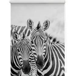 Lichtblick Rollo Klemmfix, ohne Bohren, blickdicht, Zebra - Schwarz Weiß