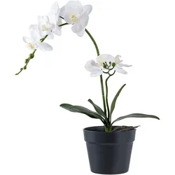 House Nordic, Kunstpflanzen, Orchid (47 cm)