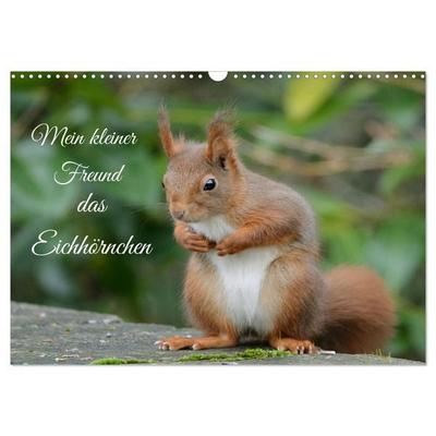 Mein kleiner Freund das Eichhörnchen (Wandkalender 2026 DIN A3 quer), CALVENDO Monatskalender