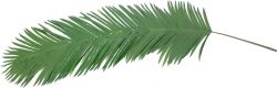 Europalms Coconut King Palm Branch, artificial, 180cm TILBUD NU