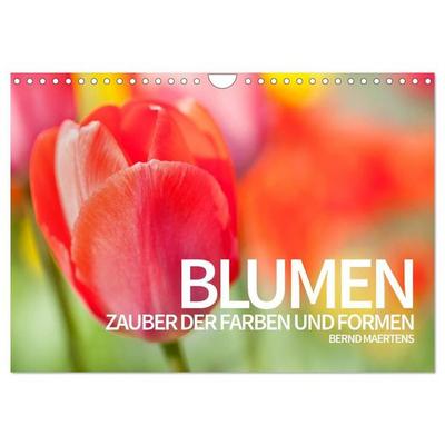 BLUMEN Zauber der Farben und Formen (Wandkalender 2027 DIN A4 quer), CALVENDO Monatskalender