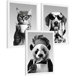 POSTER 3er Set Lustige Tiere Schwarz Weiß Wandbilder Katze Dalmatiner und Panda Koch Küche Wanddeko Rahmenlos A4