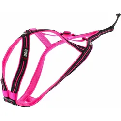 i-DOG Canicross X-Baxk (XS, Hund, Hundesport), Halsband + Leine