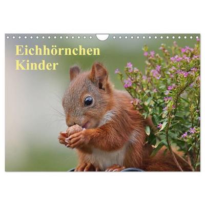 Eichhörnchen Kinder (Wandkalender 2026 DIN A4 quer), CALVENDO Monatskalender