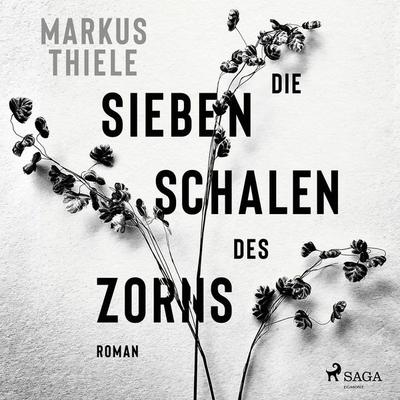 Die sieben Schalen des Zorns - Markus Thiele, Audio, 9788728154632