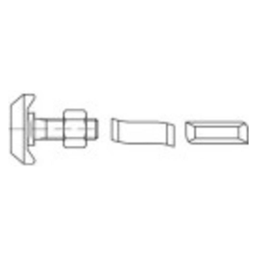 Conrad Components Hammerkopfschrauben M10 30 mm 88940 Edel (50 Schrauben pro Stück) (1070223)