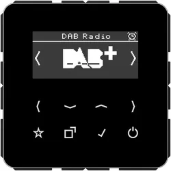 Jung Smart DAB+ Digitalradio DAB CD SW