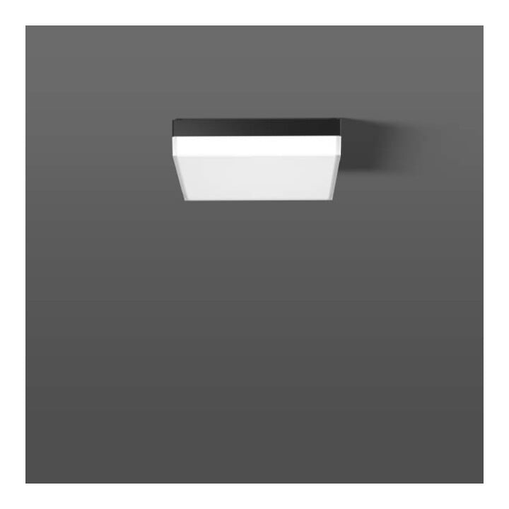 RZB Applique/plafonnier LED 830/840 312537.0031 (312537.0031)