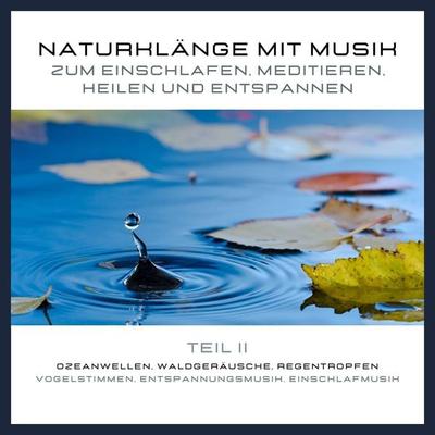 Naturklänge mit Musik zum Einschlafen, Meditieren, Heilen und Entspannen - Teil 2 - Yella A. Deeken,Patrick Lynen, Audio, 4064066883164