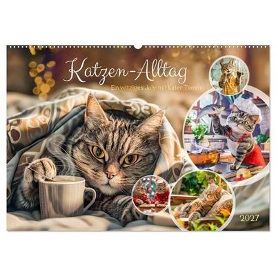 Katzen-Alltag - Ein witziges Jahr mit Kater Tommy (Wandkalender 2027 DIN A2 quer), CALVENDO Monatskalender