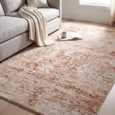 Livabliss Canyon Area Rug