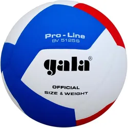 Gala, Volleybälle, (5)