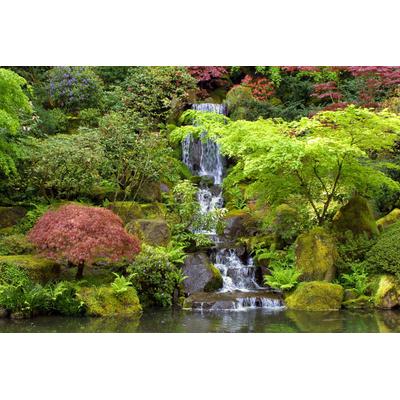 Fototapete PAPERMOON "Kleiner Wasserfall in Garten", bunt, B:2m L:1,49m, Vlies, Tapeten