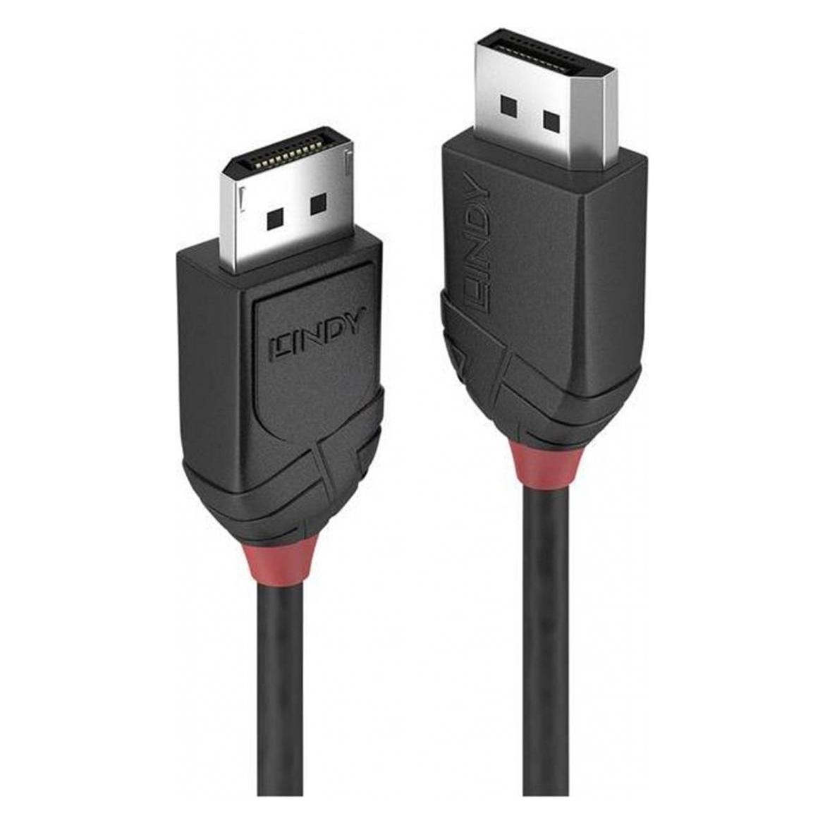 Lindy DisplayPort - DisplayPort (0.50 m) (36490)