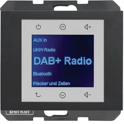 Berker 29847006 Radio DAB+, K.x anth.