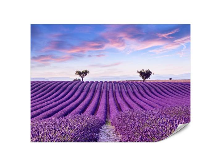 FOTOTAPETE für Küche Lavendelfeld Lila Natur Sträucher 200x140