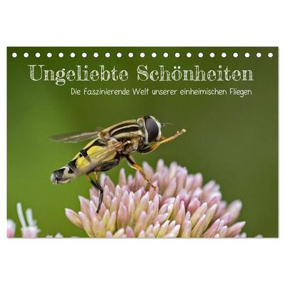Ungeliebte Schönheiten - die faszinierende Welt unserer heimischen Fliegen (Tischkalender 2027 DIN A5 quer), CALVENDO Monatskalender