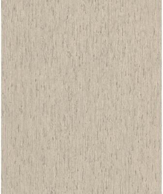 A-Street Prints Roison Dove Birch Bark Wallpaper
