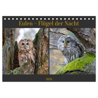 Eulen - Flügel der Nacht (Tischkalender 2026 DIN A5 quer), CALVENDO Monatskalender