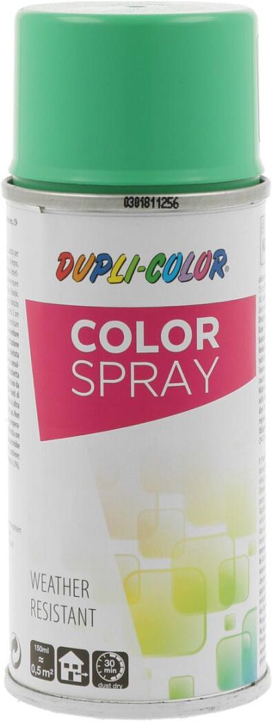 european aerosols DUPLI-COLOR COLOR SPRAY mintgrün glanz, 150 ml